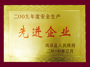 2009年度安全生產(chǎn)先進企業(yè)